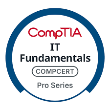 CompTIA CertMaster Practice for Cloud Essentials+ (CLO-002) - OFERTA FLASH: 50 % DE DESCUENTO (solo 2)