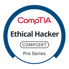 CompTIA CertMaster Practice for Cloud Essentials+ (CLO-002) - OFERTA FLASH: 50 % DE DESCUENTO (solo 2) 